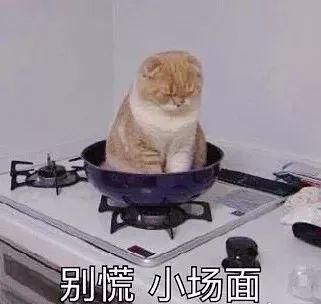 情人节送什么好七夕将至，“蓝朋友”的土味情话已到达战场！