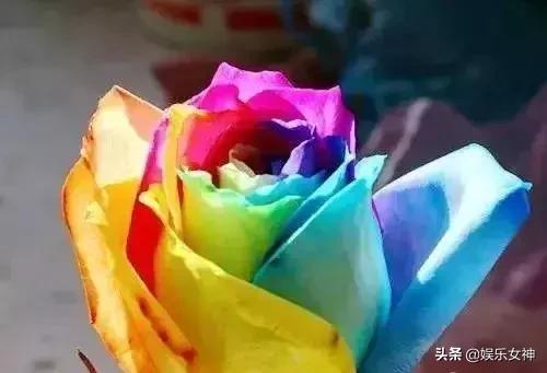 情人节送男友什么礼物好今天2.14情人节,214漂亮玫瑰送给群里每位朋友~醉倒一批