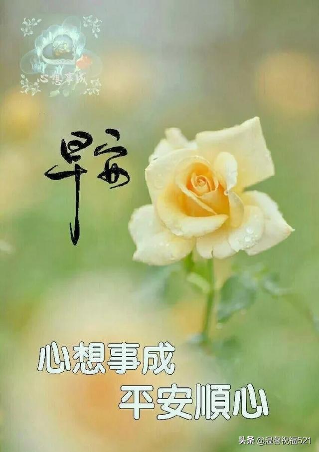幸福的早晨,从问好逐渐!