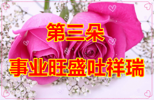 情人节送男朋友什么礼物好今天520情人节，9朵爱的玫瑰送给在乎的你，愿你开
