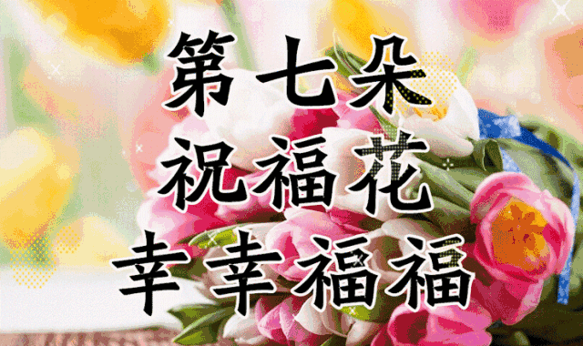 七夕送女朋友什么礼物好最有意义中国情人节，送你七朵花，愿你好运连连、幸