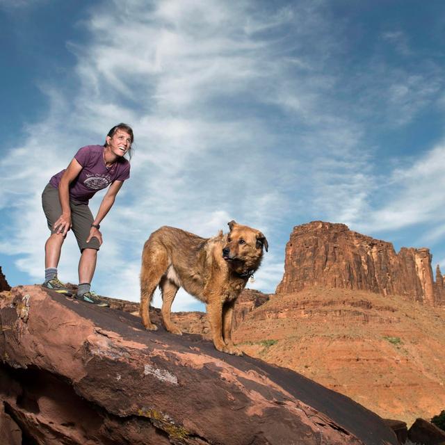 APEX辅助野外跑步如何绝地求生？来看两位大神的离奇故事31卡盟