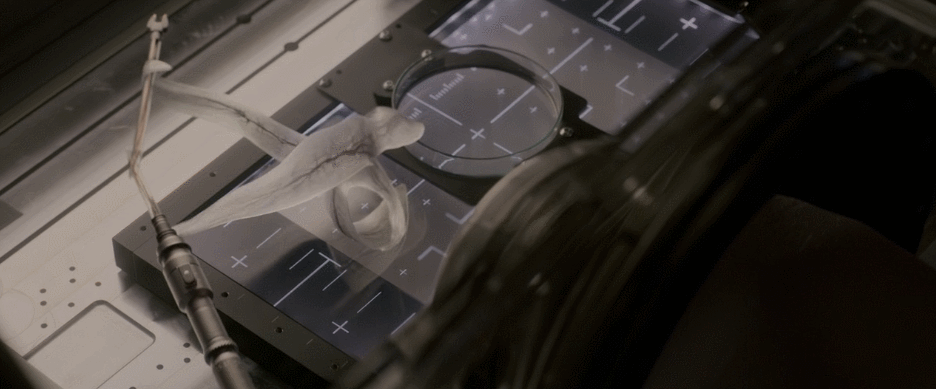 异星觉醒好看吗（异星觉醒里的卡尔文）