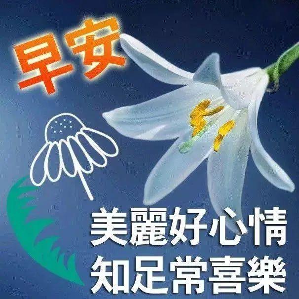 温馨早安问候短信句子早安群发祝福表情图片