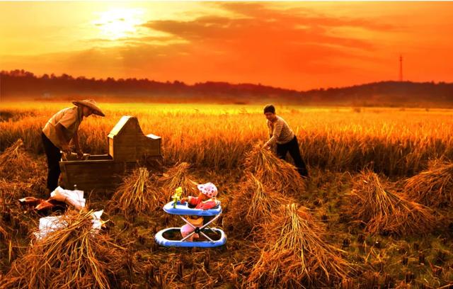 2020年“美丽中国，我是行动者” 主题摄影比赛微信投票通道正式开启