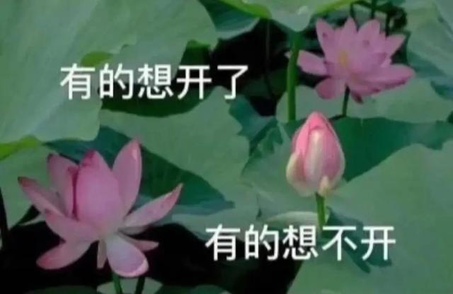網紅式審美被噴上熱搜：這是自殘，不是性感 街拍正妹 第7张