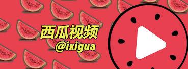 上线4K画质、启动“活字计划”，西瓜视频与B站“狭路相逢”？