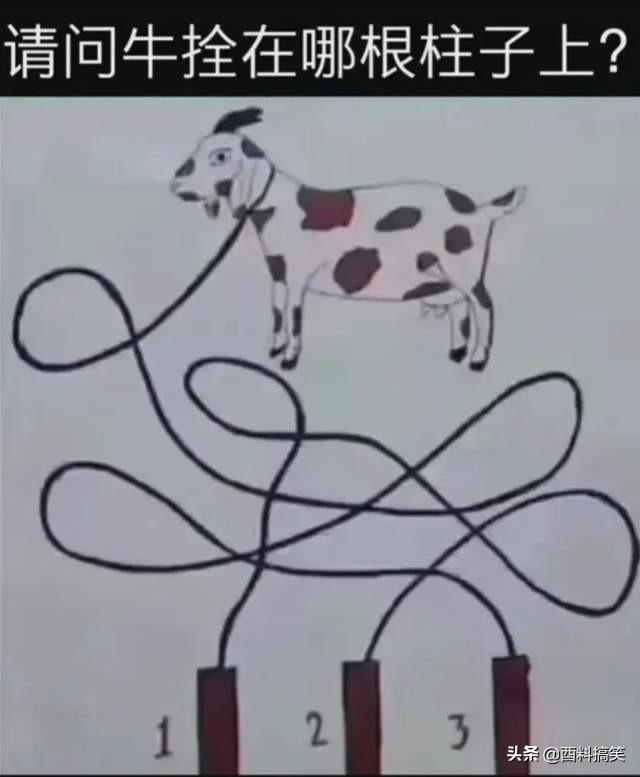 笑死我了，在高鐵上遇到了一個脫鞋的小姐姐，我用行動糾正了她 搞笑整蠱 第31张
