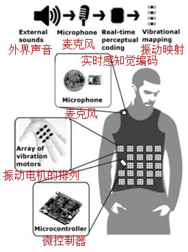 先天盲人，不用眼睛也能“看见”飞来的球
