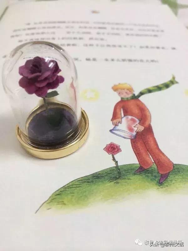 送女朋友礼物排行榜_9