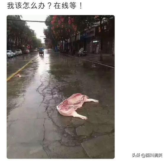 「小姐姐穿的靴子這麼嚴實，捂一天什麼味道？」哈哈哈 搞笑整蠱 第5张