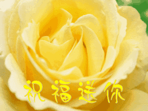 七夕节送什么礼物2.14情人节！99999玫瑰送给群里所有的人！越早打开越好