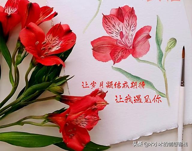 用10根棒棒糖制作花束 棒棒糖花束的寓意66颗