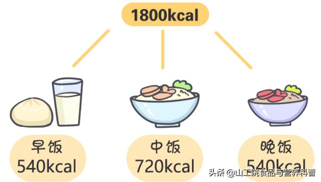 膳食宝塔食物模型图片（平衡膳食宝塔五层结构）