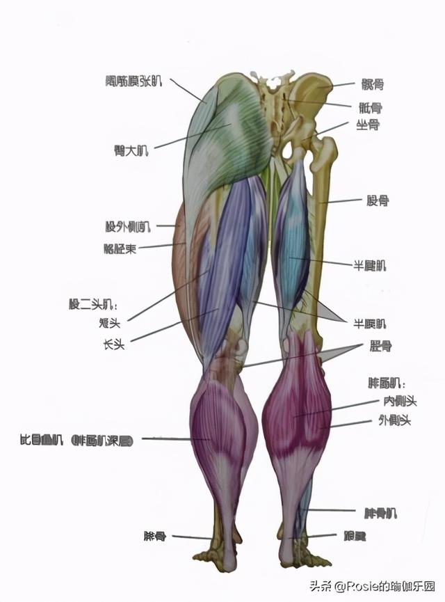 鞏俐美背細腰減肥成功，節後跑步瘦身注意這三點，甩肉不粗腿 健身減肥達人 第17张