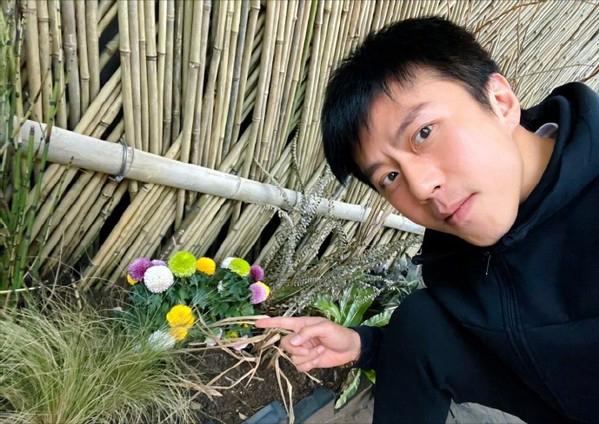 情人节送男友什么明星夫妇如何庆祝情人节？邓超为孙俪送花，杨颖玩梗疑似暗