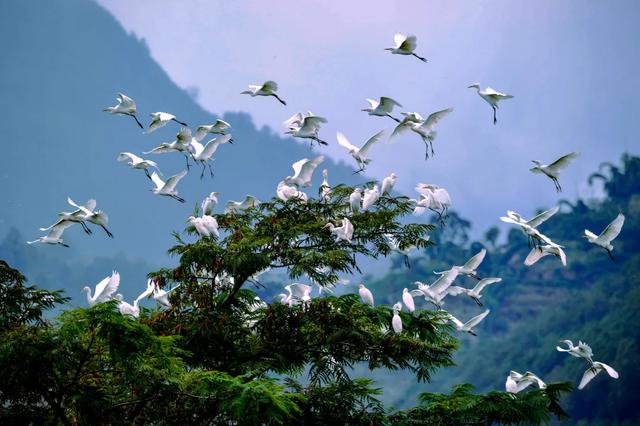 这个“十一”朋友圈里的云南又美出新高度