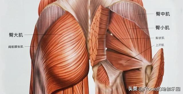 四年抱仨，老公專心帶娃被嘲「世紀軟飯王」，胡杏兒實力護夫 娛樂八卦吃瓜 第19张