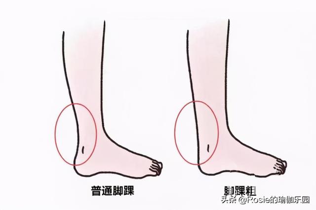 趙露思小腿粗？粗腳踝腿更短，堅持4步纖細小腿瘦腳踝 健身減肥達人 第2张