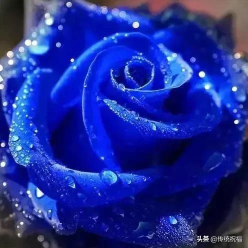 今年情人节流行送什么明日七夕情人节，999999玫瑰花送给群里所有朋友！谁打开