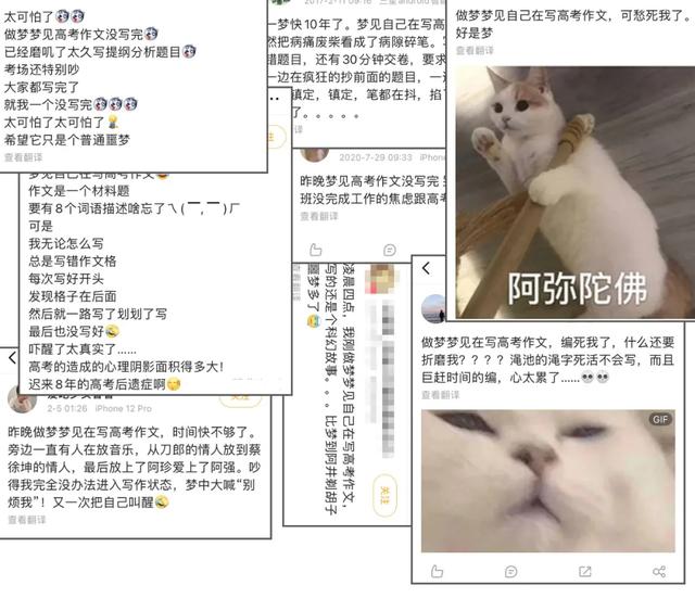2021周公解梦大全查询(2021周公解梦大全查询梦)插图7