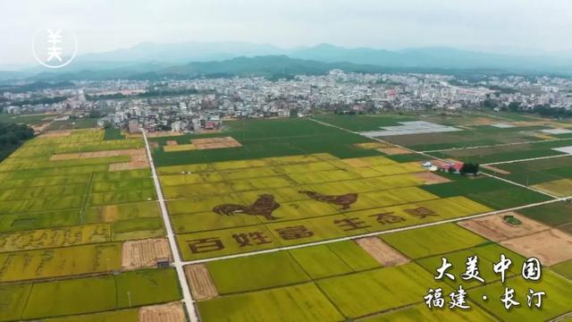 周公解梦梦见小孩 梦见已故的同事插图11