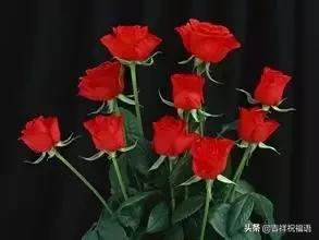 情人节送玫瑰花的含义5201314， 送你999玫瑰花，祝你爱情甜甜蜜蜜