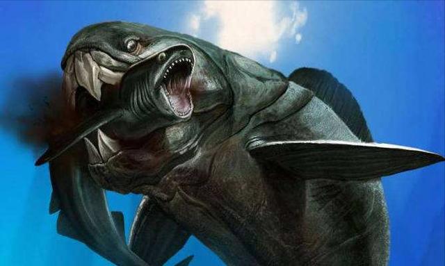 海洋十大霸主排行榜，世界上最可怕的十大海洋生物——虎鲸到底是不是海洋霸主