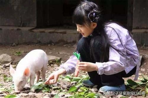 蜀中桃子姐营销分析（从农村主妇到网红）