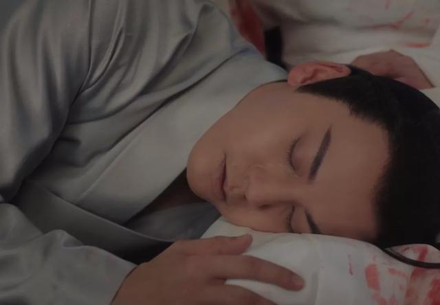 斛珠夫人剧情介绍（斛珠夫人大结局怎么样）