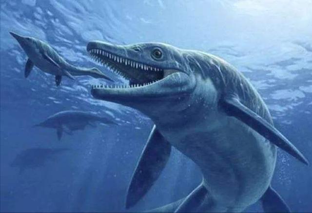 海洋十大霸主排行榜，世界上最可怕的十大海洋生物——虎鲸到底是不是海洋霸主