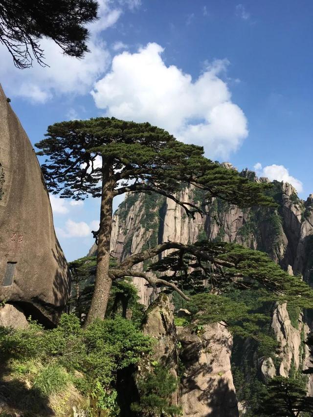 世界有名的十大山脉，世界上最重要的十二座山脉