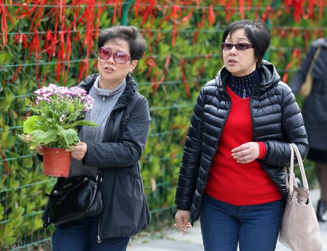 贡品怎么摆放图片，供品摆几个最好