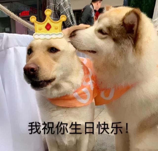 云凤凰朋友圈修改定位高级又沙雕的生日祝福