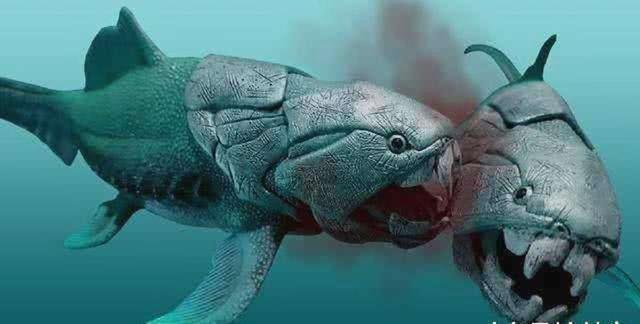 海洋十大霸主排行榜，世界上最可怕的十大海洋生物——虎鲸到底是不是海洋霸主