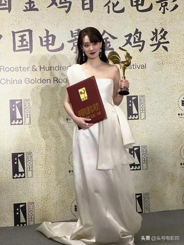 也把女主角张小斐,变成了金鸡奖影后.