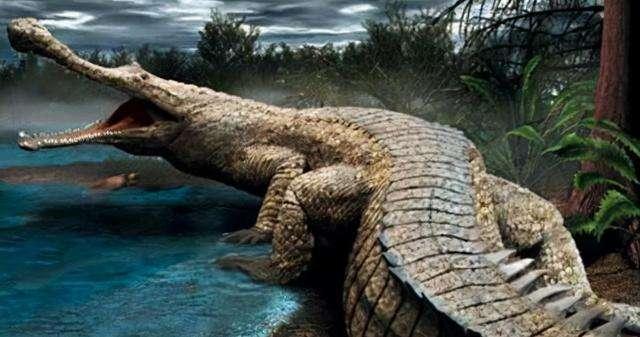 海洋十大霸主排行榜，世界上最可怕的十大海洋生物——虎鲸到底是不是海洋霸主