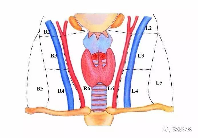 颈部淋巴结分区颈部淋巴结分区示意图
