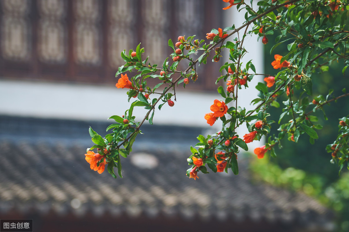 石榴花唯美句子