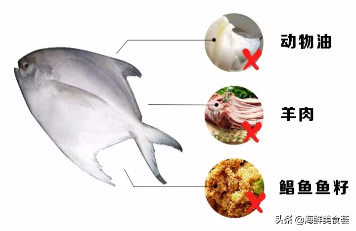 仓鱼好吃吗（关于仓鱼在广东的江湖地位竟这么高）
