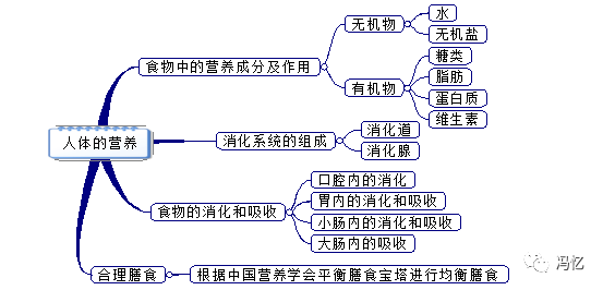 七上生物第一单元思维导图七上生物第一单元思维导图简单