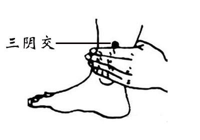 三阴交穴位位置图