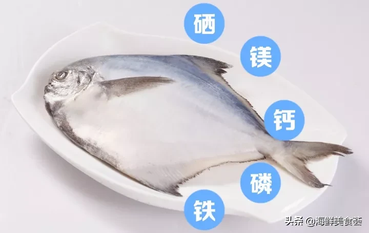 仓鱼好吃吗（关于仓鱼在广东的江湖地位竟这么高）