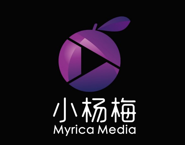 抖音代运营是干什么(找抖音代运营公司，切莫贪小便宜吃大亏)  第2张