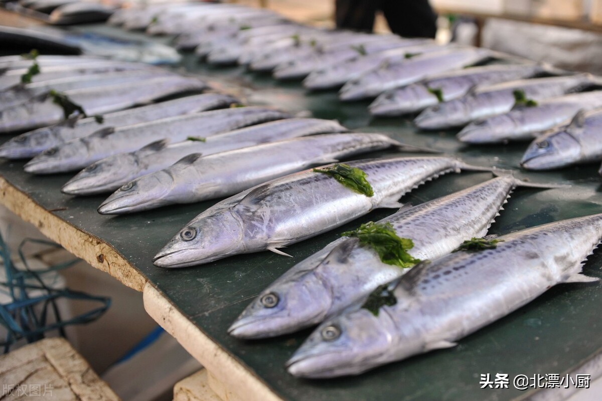 深海鱼有哪些深海鱼有哪些品种