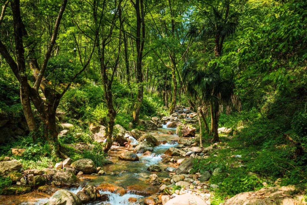 双龙溪峡谷,南起西旺村双龙水库,北至洞前村双龙洞,长约4公里,谷底