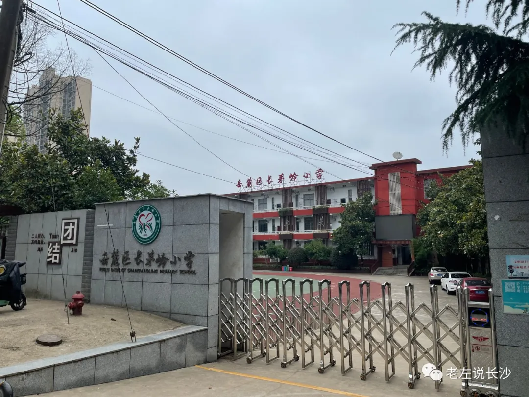 长茅岭小学(规划名)位于观沙岭街道谷岳路以南,观沙路以东,办学规模为