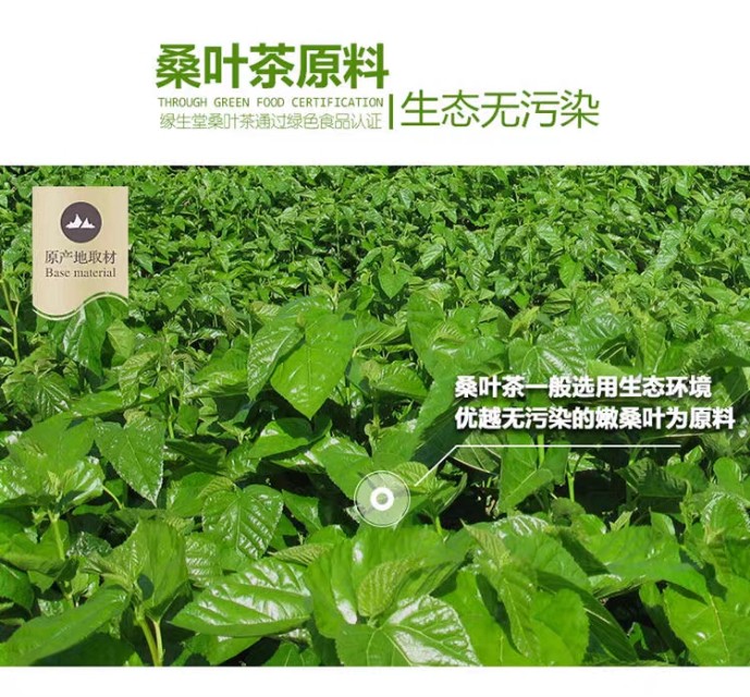桑叶茶能长期喝吗玉米须桑叶茶能长期喝吗