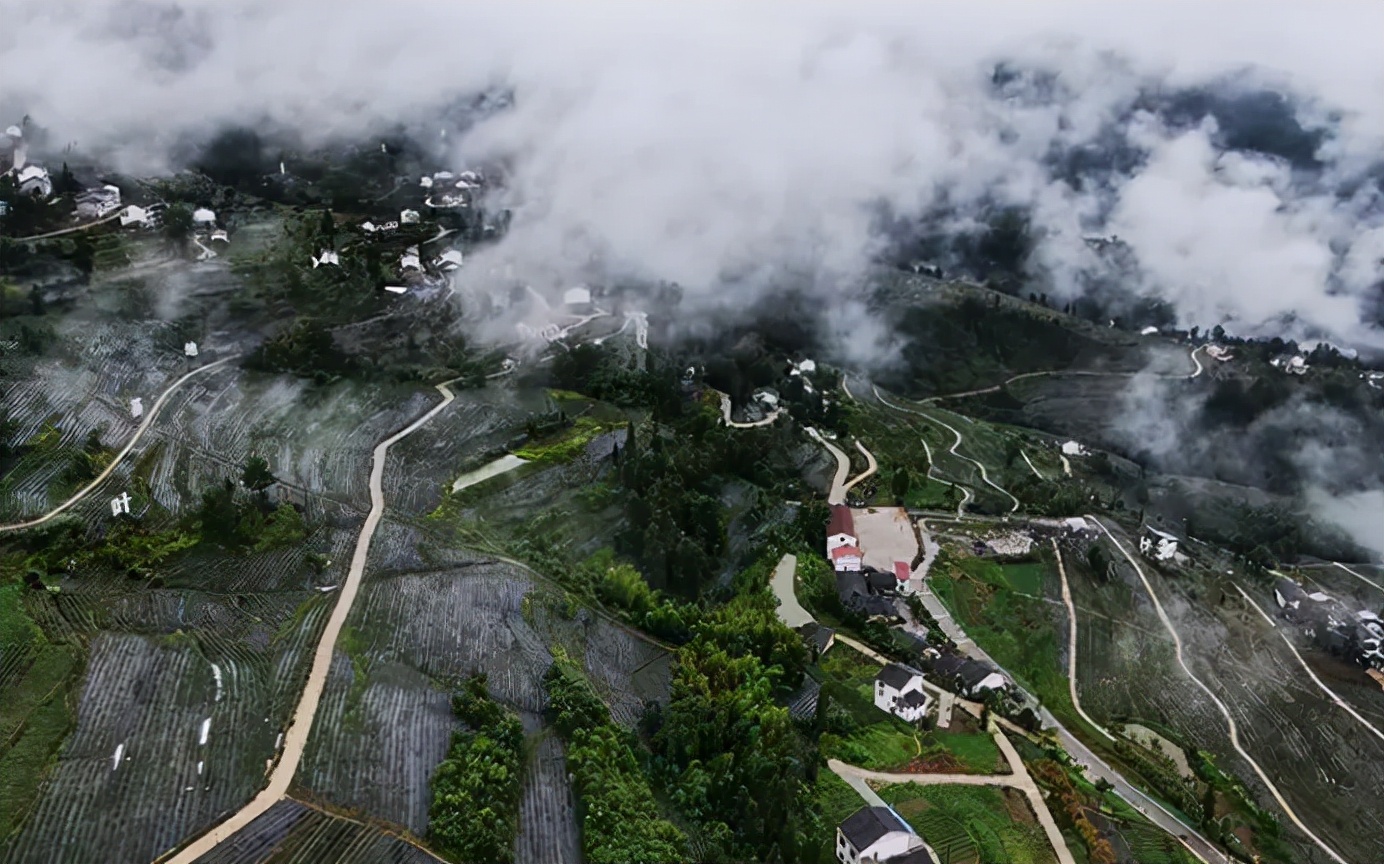 红岩村:重庆市綦江区三角镇红岩村,主要农产品:酸浆,蕃茄,青豆,辣椒