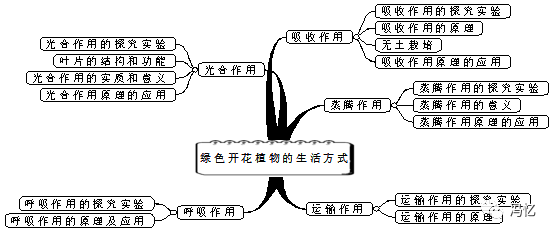 第5章 绿色开花植物的生活方式第三单元 生物圈中的绿色植物第3,4章